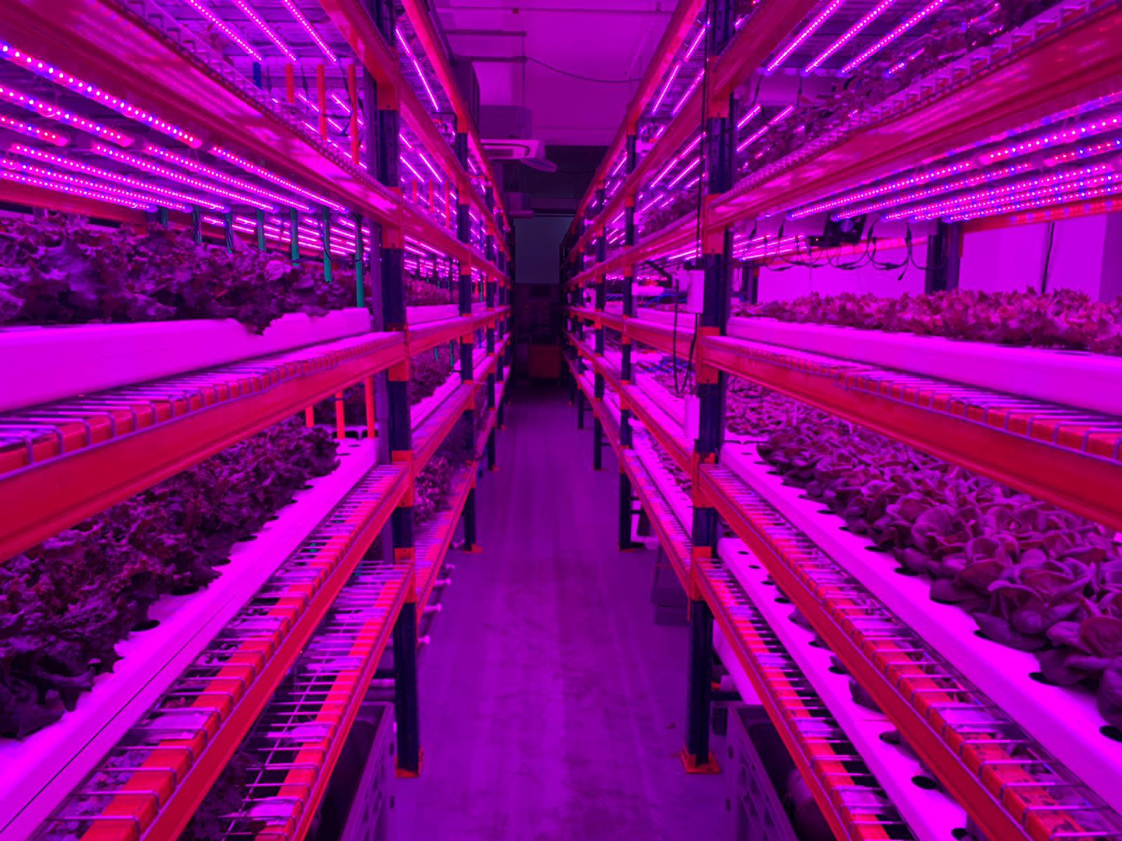 Arianetech indoor farming project-Aquagreen2